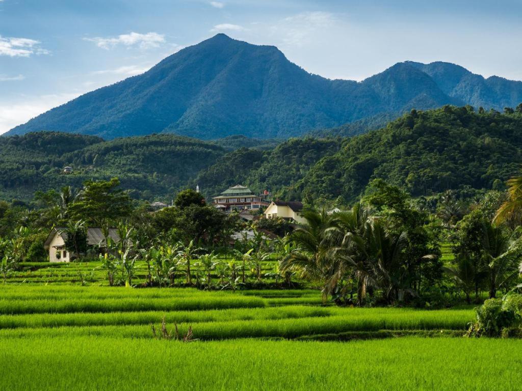 Bianco Costel Hotel Bogor Luaran gambar